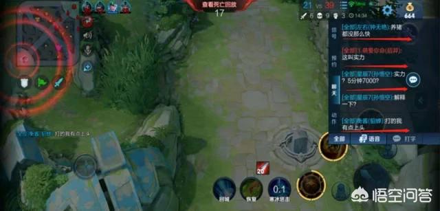 王者荣耀开挂科技_王者荣耀挂是什么意思_王者有挂什么用