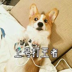 王者无敌挂下载_王者无敌挂_下载王者无敌